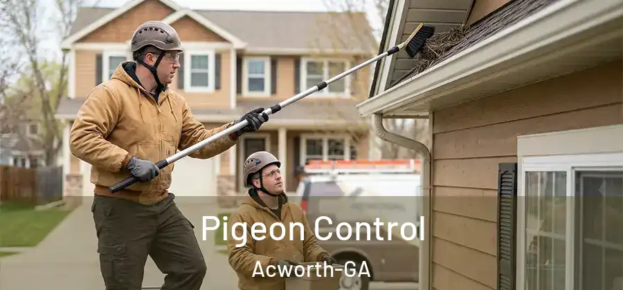  Pigeon Control Acworth-GA