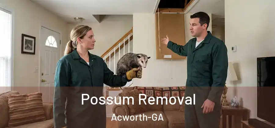  Possum Removal Acworth-GA