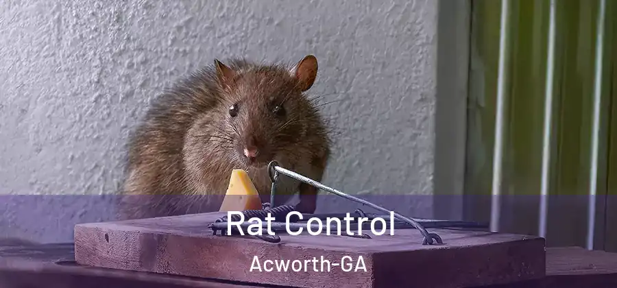  Rat Control Acworth-GA