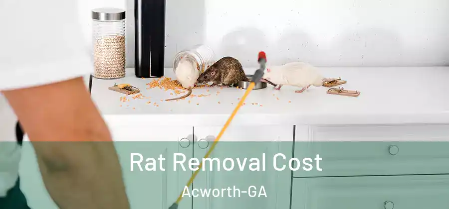  Rat Removal Cost Acworth-GA