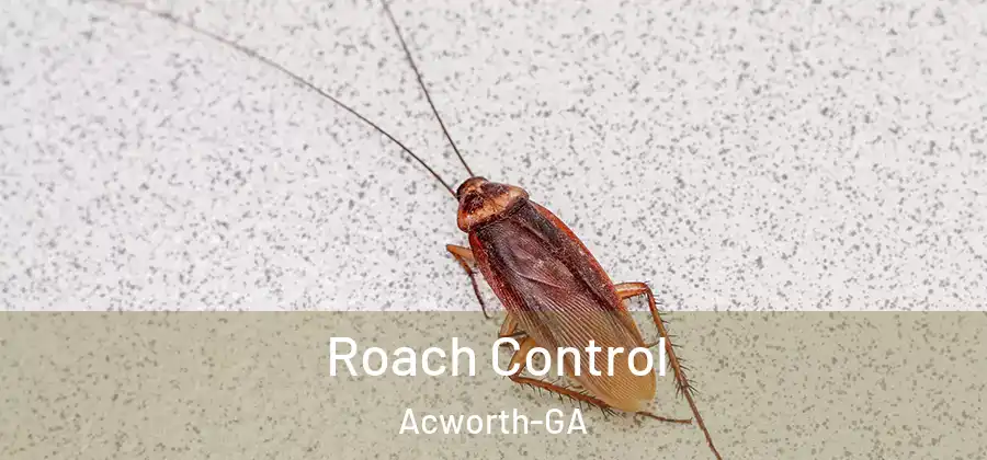 Roach Control Acworth-GA