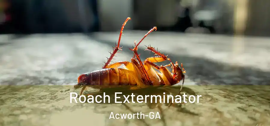 Roach Exterminator Acworth-GA