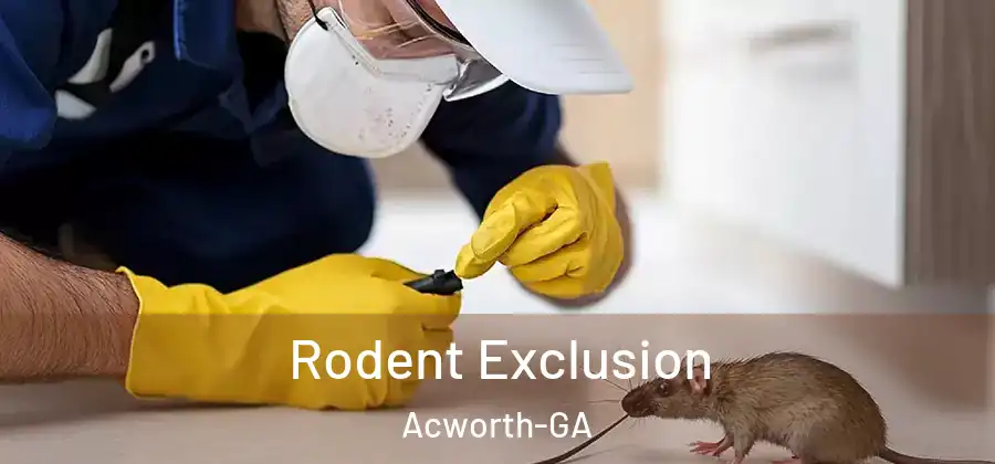 Rodent Exclusion Acworth-GA