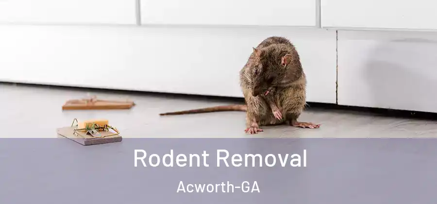  Rodent Removal Acworth-GA
