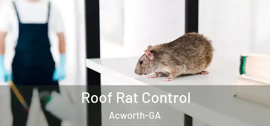  Roof Rat Control Acworth-GA