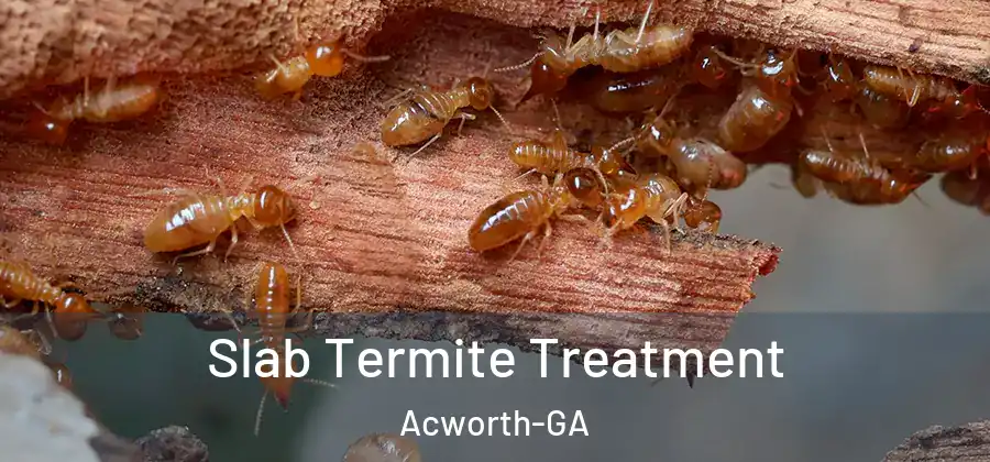  Slab Termite Treatment Acworth-GA