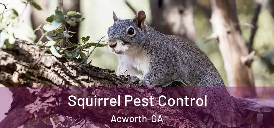  Squirrel Pest Control Acworth-GA