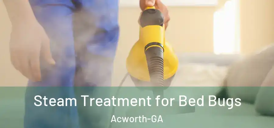  Steam Treatment for Bed Bugs Acworth-GA