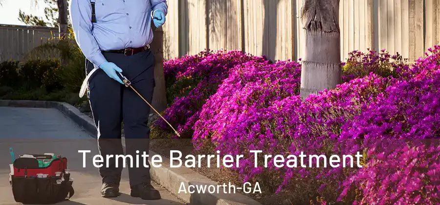  Termite Barrier Treatment Acworth-GA