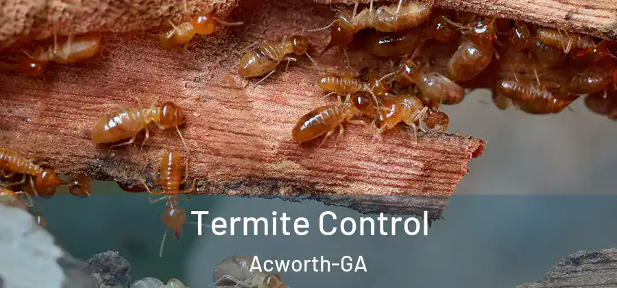 Termite Control Acworth-GA