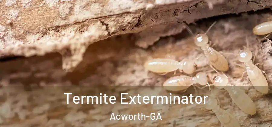  Termite Exterminator Acworth-GA