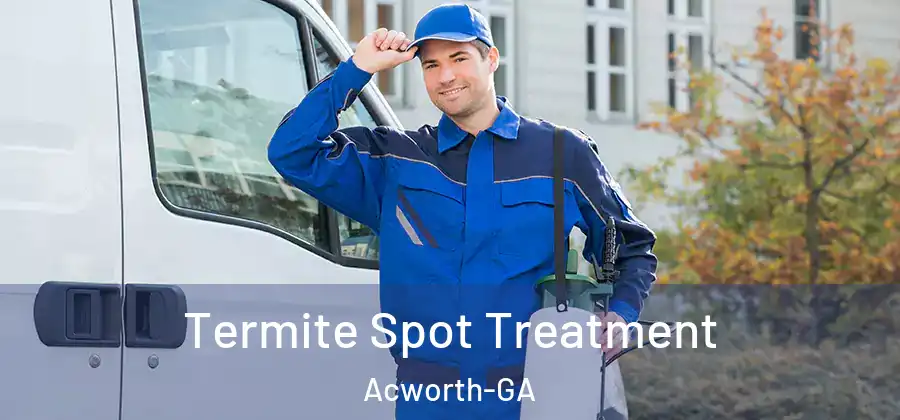  Termite Spot Treatment Acworth-GA