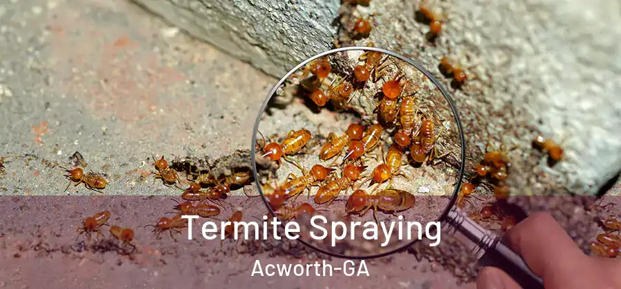  Termite Spraying Acworth-GA