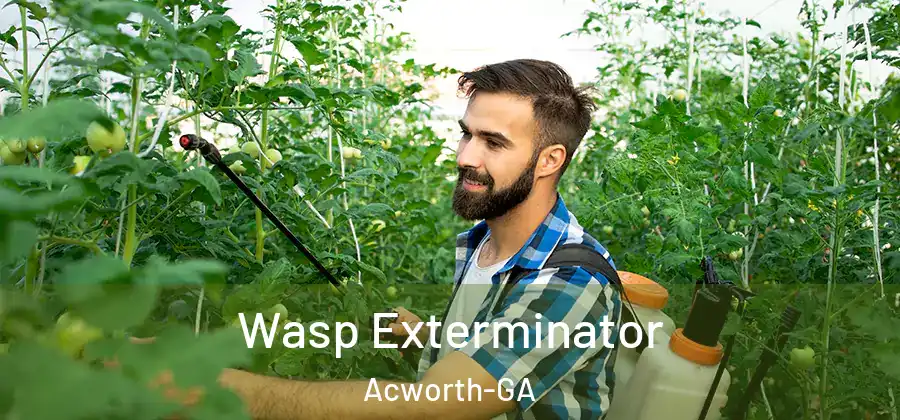 Wasp Exterminator Acworth-GA