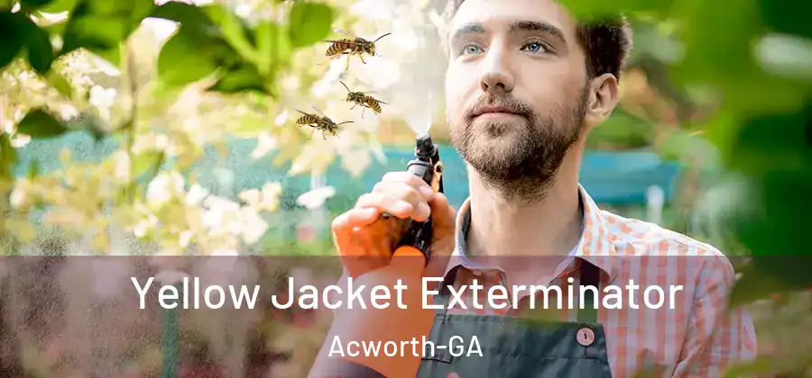 Yellow Jacket Exterminator Acworth-GA
