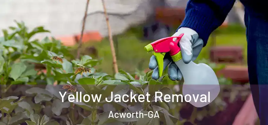 Yellow Jacket Removal Acworth-GA